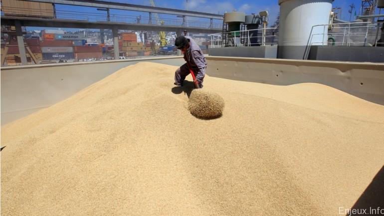 Algérie : des statistiques sur les importations des céréales