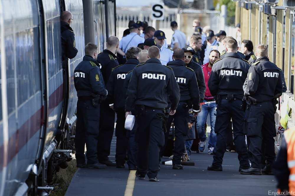 Crise migratoire : reprise des liaisons ferroviaires entre le Danemark et l’Allemagne