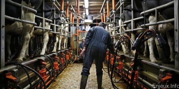 Les éleveurs français portent plainte contre l’Allemagne pour fraude à la TVA