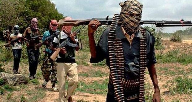 Nigeria : Des centaines de présumés membres de Boko Haram recouvrent la liberté