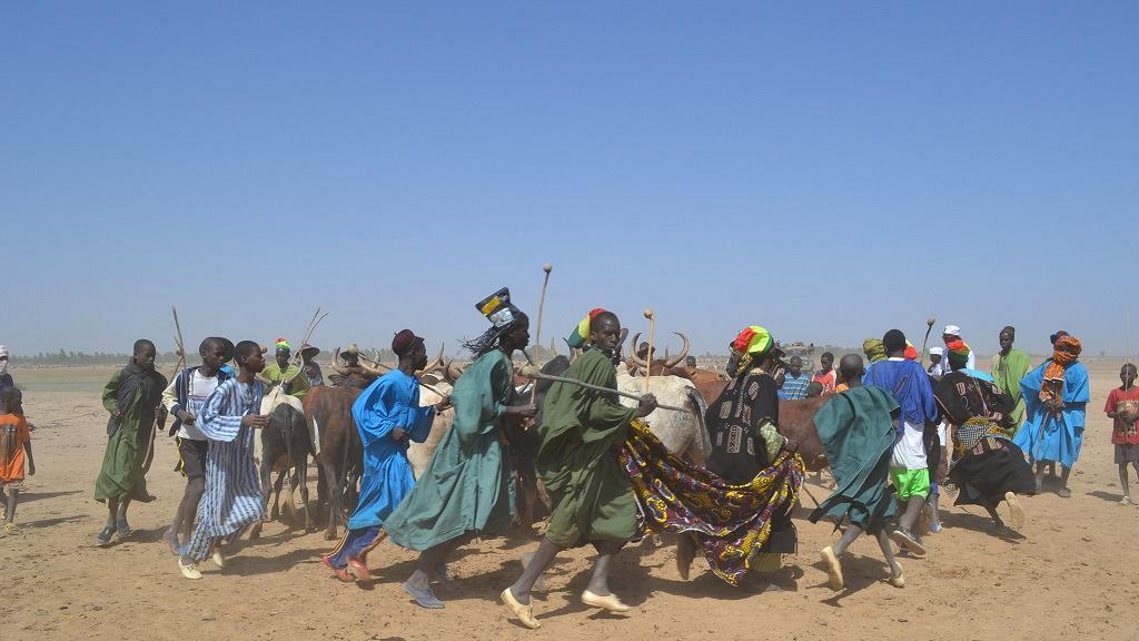 Mali : une vingtaine de tués dans une attaque d’hommes armés dans le nord-est du pays