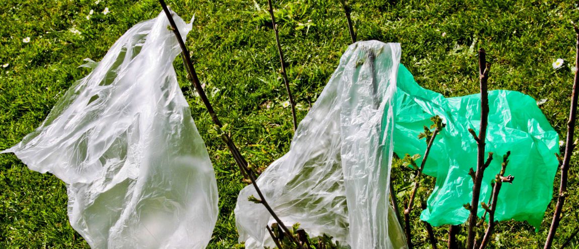 Début d’interdiction partielle des sacs en plastique en Thaïlande