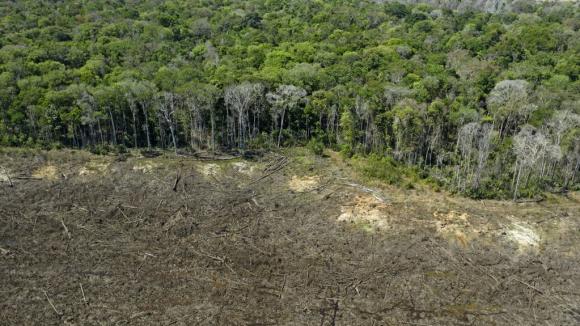 Brésil : Déforestation de l’Amazonie