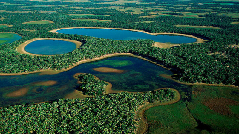 Le Brésil : Perte de 1/6ème de ses zones couvertes d’eau douce 