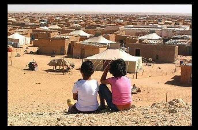 Genève: Conférence sur  les « violations des droits de l’Homme dans les Camps de Tindouf par le polisario et le pouvoir algérien
