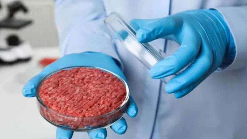 La Suisse : La viande cultivée en laboratoire