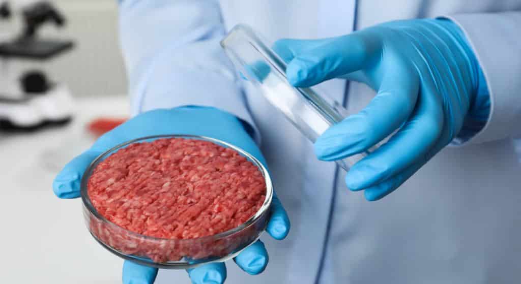 La Suisse : La viande cultivée en laboratoire