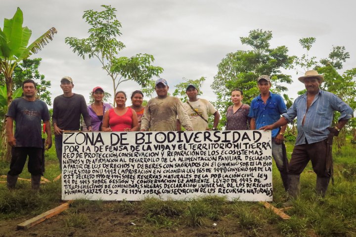 La Colombie : Un leader régional dans la protection de l’environnement
