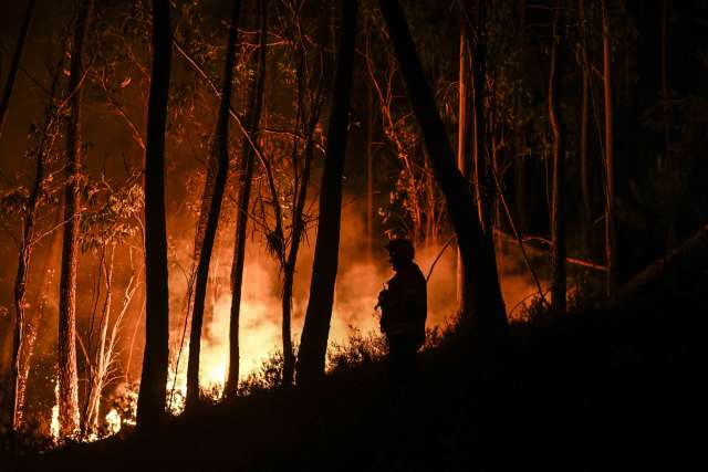 Les incendies de forêt continuent de faire rage au Portugal
