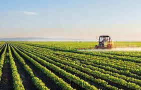 São Tomé-et-Príncipe sollicite un nouveau soutien européen et portugais pour renforcer son agriculture exportatrice