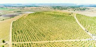 Madagascar : cap sur une croissance verte pour rompre enfin avec le statu quo